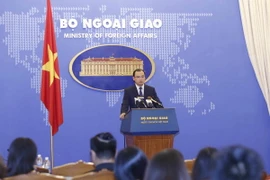 Người phát ngôn Bộ Ngoại giao Lê Hải Bình phát biểu tại buổi họp báo. (Ảnh: An Đăng/TTXVN)