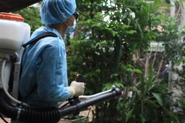 Nhân viên y tế dự phòng địa phương phun thuốc diệt muỗi tại quận 9, Thành phố Hồ Chí Minh. (Ảnh: Phương Vy/TTXVN)