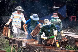 ​Ảnh chỉ có tính minh họa. (Ảnh: Lê Hào/TTXVN)
