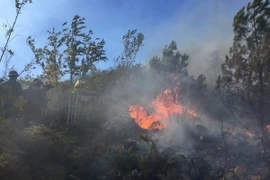 Các lực lượng chức năng nỗ lực dập lửa khống chế đám cháy. (Ảnh: Nguyễn Oanh/TTXVN)