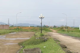 (Ảnh minh họa: Hoàng Nguyên/TTXVN)