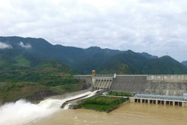 (Ảnh: Hữu Quyết/TTXVN)