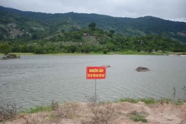 (Ảnh minh họa: Hoài Thu/TTXVN)