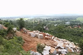 (Ảnh minh họa: Dương Giang/TTXVN)