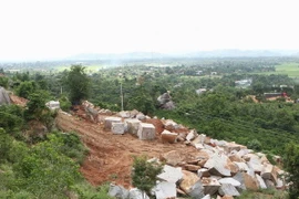 (Ảnh minh họa: Dương Giang/TTXVN)