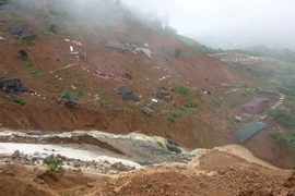 (Ảnh minh họa: Việt Hoàng-Công Tuyên/TTXVN)