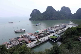 Tàu neo đậu trên vịnh Hạ Long. (Ảnh: Quang Quyết/TTXVN)