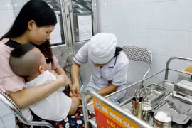 (Ảnh minh họa: Dương Ngọc/TTXVN)