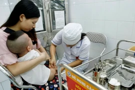 (Ảnh minh họa: Dương Ngọc/TTXVN)