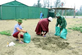 Các chủ kiốt tại biển Cửa Hội di dời tài sản đến nơi an toàn để tránh bão số 3. (Ảnh: Tá Chuyên/TTXVN)