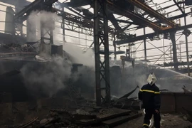 (Ảnh minh họa: TTXVN phát)