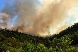 Đám cháy bùng phát dữ dội từ rừng xã Châu Lộc. (Ảnh: Trịnh Duy Hưng/TTXVN)