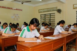 (Ảnh minh họa: Hồng Thái/TTXVN)