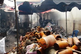 (Ảnh minh họa: Thanh Tân/TTXVN)