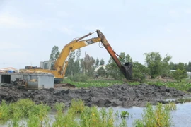 Đắp đê bao ngăn lũ tại huyện Tân Hưng, Long An. (Ảnh: Thanh Bình/TTXVN)