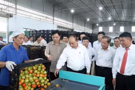 Thủ tướng Nguyễn Xuân Phúc thăm Công ty TNHH Sản xuất - Thương mại nông sản Phong Thúy. (Ảnh: Thống Nhất/TTXVN)