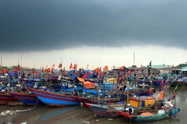 Tàu cá neo đậu tại khu vực cảng cá Ngọc Hải, quận Đồ Sơn (Hải Phòng). (Ảnh: An Đăng/TTXVN)