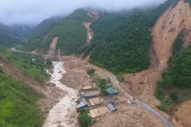 (Ảnh minh họa: Quý Trung/TTXVN)