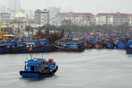 (Ảnh minh họa: Trần Lê Lâm/TTXVN)