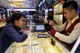 (Ảnh minh họa: Trần Việt/TTXVN)