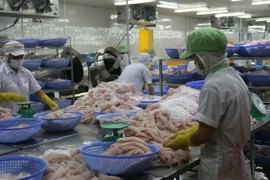 Chế biến cá tra xuất khẩu. (Ảnh: Minh Trí/TTXVN)