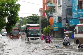 (Ảnh minh họa: Hoàng Ngọc/TTXVN)