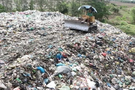 (Ảnh minh họa: Huỳnh Sử/TTXVN)