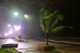 (Ảnh minh họa: Thành Đạt/TTXVN)