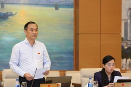 Chủ nhiệm Ủy ban Kinh tế của Quốc hội Vũ Hồng Thanh trình bày báo cáo thẩm tra. (Ảnh: Dương Giang/TTXVN)