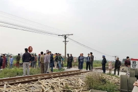 (Ảnh minh họa: Văn Đạt/TTXVN)