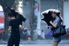 Ảnh minh họa. (Nguồn: AFP/ TTXVN)