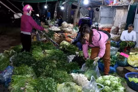 Giá một số hàng rau-củ-quả sau Tết tăng khoảng 5% so với trước Tết. (Ảnh: Vũ Sinh/TTXVN)