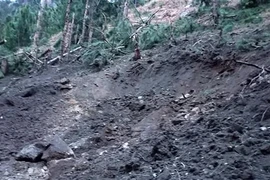 Cảnh tàn phá sau cuộc không kích của Không quân Ấn Độ tại khu vực Balakot ngày 26/2. (Nguồn: AFP/TTXVN)