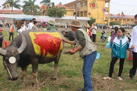 Một tác phẩm nghệ thuật có chủ đề về năm Kỷ Hợi. (Ảnh: Nguyễn Chinh/TTXVN)