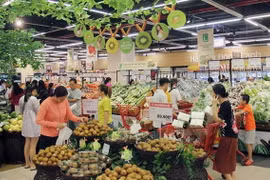 Ảnh chỉ có tính minh họa. (Ảnh: Mỹ Phương/TTXVN)