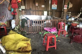 Trong ảnh: Hiện trường vụ nổ. (Ảnh: TTXVN phát)