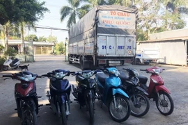 Tang vật liên quan đến vụ việc. (Ảnh: Công Mạo/TTXVN)