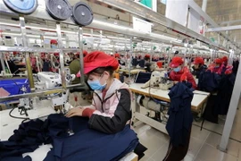 May hàng xuất khẩu tại Công ty may Tinh Lợi, khu công nghiệp Lai Vu, huyện Kinh Thành (Hải Dương). (Ảnh: Trần Việt/TTXVN)