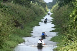 Du khách tham quan khu vườn quốc gia U Minh Hạ. (Ảnh: Thế Anh/TTXVN)