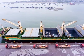 Xuất khẩu tôn đi Mỹ của Nhà máy Hoa Sen (Khu công nghiệp Đông Hồi, Nghệ An). (Ảnh : TTXVN phát)