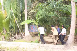 Bến Tre: Khởi tố bị can đối với người chồng giết vợ cùng bạn làm ăn 