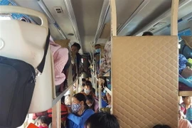 Ảnh chỉ có tính minh họa. (Ảnh: Trịnh Duy Hưng/TTXVN)