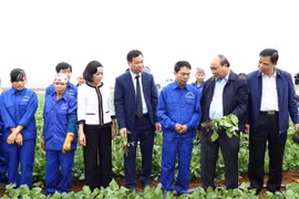 Thủ tướng Nguyễn Xuân Phúc thăm các cánh đồng nguyên liệu của Công ty Cổ phần thực phẩm xuất khẩu Đồng Giao. (Ảnh: Thống Nhất/TTXVN)