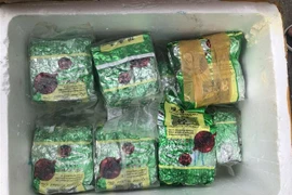Toàn bộ 20 gói nylon được lực lượng chức năng liên quan tiến hành kiểm đếm, niêm phong. (Ảnh: TTXVN phát)