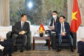 Chủ tịch Quốc hội Vương Đình Huệ tiếp ông Jung In Sub, Tổng Giám đốc Tập đoàn Hanwha Energy. (Ảnh: Doãn Tấn/TTXVN)