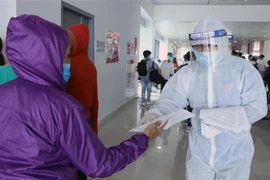 Hướng dẫn hành khách tại Cảng Hàng không Cát Bi. (Ảnh: Hoàng Ngọc/TTXVN)