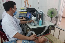 (Ảnh minh họa: Tường Quân/TTXVN)