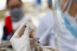 (Ảnh minh họa: Thanh Tùng/TTXVN)