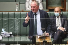 Phó Thủ tướng Australia Barnaby Joyce. (Nguồn: afr.com)