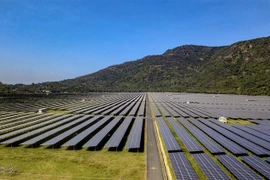 Nhà máy điện mặt trời Sao Mai - An Giang với tổng công suất 210 MWp sẽ đóng góp gần 400 triệu kWh mỗi năm cho lưới điện quốc gia. (Ảnh: Thanh Sang/TTXVN)